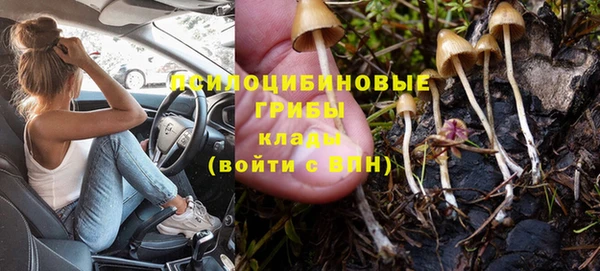 тгк Заводоуковск