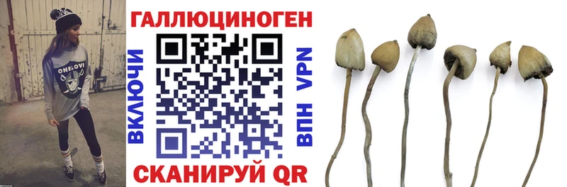 Купить где  Чусовой  Галлюциногенные грибы мицелий 